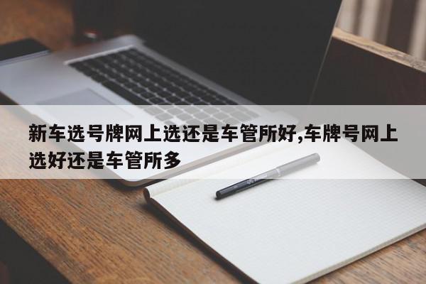 新车选号牌网上选还是车管所好,车牌号网上选好还是车管所多