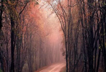 公务车辆维修范围有哪些，公务用车维修