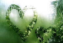 汽车车型展示软件有哪些好用，车辆展示的方法有哪些