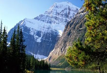 公务车辆维修范围有哪些，公务用车维修